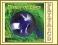 DANCE OF ELVES CD