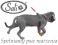 JET-BLACK NAJMOCNIEJSZE SZELKI NX7 do 90cm