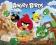 Angry Birds Destroy - plakat, plakaty 50x40 cm