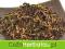 Herbara Czarna GOLDEN MONKEY (50g) PROMOCJA !!
