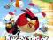 Plakat plakaty 61x91cm ANGRY BIRDS / FP2565