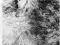 MAX SVABINSKY - SATYR I NIMFA  FP 8358