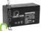 Akumulator żelowy 1,3Ah/6V
