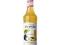 MONIN SYROP - PINA COLADA, 70L