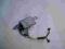 WZMACNIACZ ANTENOWY CLARION SUBARU LEGACY 07 - 08