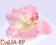 Storczyk różowy Główki kwiatowe