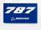 Naklejka niebieska Boeing 787