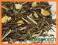 HERBATA ZIELONA SENCHA IMBIR Z CYTRYNĄ (50g)