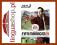 Fifa Manager 2011 (PC DVD)