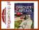 International Cricket Captain 2009 (PC DVD)