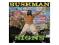 Signs - Bushman
