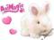 AniMagic Interaktywny KRÓLICZEK HOPEK + GRATIS