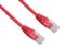 Kabel krosowy UTP cat. 5e 2m czerwony