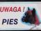 Tabliczka ostrzegawcza - UWAGA PIES! ------ BOKSER