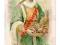 G/S 99 Litho.S.Elisabeth Peterswaldau-Pieszyce