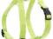 Zolux Szelki Nylon regulowane 15mm seledyn