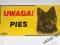 Tabliczka  UWAGA PIES! OWCZAREK NIEM. DŁUGOWŁOSY