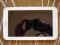 TABLET SAMSUNG GALAXY TAB 3 T110