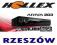 TUNER SATELITARNY FERGUSON ARIVA 203 (202E) DVB-S