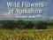 WILD FLOWERS OF YORKSHIRE Howard Beck