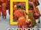 NATIONAL GEOGRAPHIC TRAVELER: CAMBODIA Ranges