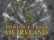 HERITAGE TREES OF IRELAND Fennell, Krieger