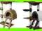 SOLIDNY DRAPAK DLA KOTA LEGOWISKO DOMEK CAT001 NEW