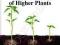 MARSCHNER'S MINERAL NUTRITION OF HIGHER PLANTS