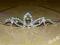 -MARGUT- Diadem - Tiara Korona z cyrkoniami 06-33