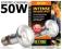 [E-C] żarówka dzienna __ TIGHT-BEAM 50W _exo terra