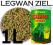 [E-C] IGUANA STICKS 1L / 260g _____ LEGWAN ZIELONY