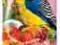 Vitapol Smakers dla papugi falistej owoc Weekend
