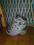 buty zimowe Reserved