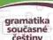 Gramatika soucasne cestiny. Gramatyka współczesneg