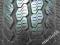 +225/70R15C CONTINENTAL VANCOFOUR SEASON-1szt+