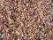 30 kg BARWNY ZWIREK RZECZNY EGZOTYCZNY NAJTANIEJ!