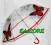 PARASOL PARASOLKA przezroczys MOTYLE zr638 EduCORE