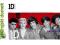 ONE DIRECTION 1D RĘCZNIK NA BASEN 140X70 ORYGINAŁ