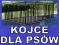 KOJEC DLA PSA,KOJCE,BOKSY,KLATKA,ZAGRODA PRODUCENT