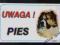 Nalepka Naklejka Tabliczka  UWAGA PIES! --- KAUKAZ
