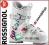 13/14 Buty narciarskie ROSSIGNOL FUN GIRL J3 18.5