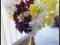 Piękny wazon z kwiatami IKEA -59zł sklep139zł