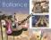 BALLANCE DVD 5++/6 JAK NOWY!!! CDA-N0