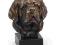 Bernardyn z brązu na marmurze Art Dog