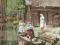 NIEMCY - SPREEWALD - KOBIETA - FOLKLOR - STROJE