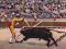 FRANCJA - CORRIDA - MATADOR - FOLKLOR - STROJE