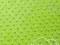 materiał Minky DARK LIME materiał Minky DARK LIME