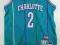 LARRY JOHNSON CHARLOTTE HORNETS NBA NOWA LJHCN M