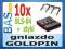 Gniazdo na GOLDPIN BLS-04 plus styki _ 10szt