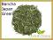 HERBATY HERBATA ZIELONA BANCHA JAPAN STYLE - 100g!